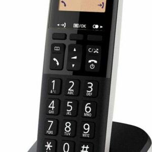 Ασυρματο Τηλεφωνο Panasonic KX-TGC250 Ασημί